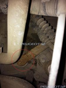 [Peugeot-Club.net] - IMG_20141113_113643.jpg