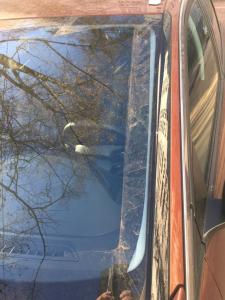 Неочищаемая полоса.jpeg