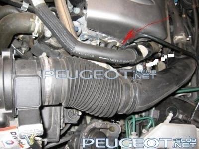 post-404-029680300 1292168479_thumb.jpg