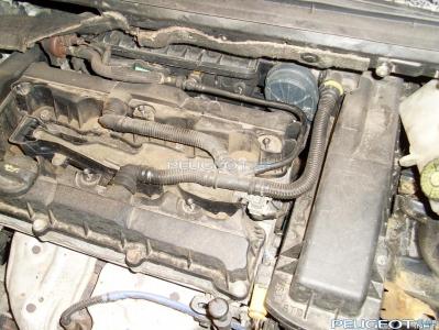 [Peugeot-Club.net] - SL373380.JPG