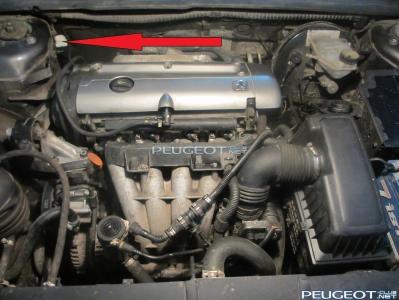 [Peugeot-Club.net] - IMG_0942.JPG