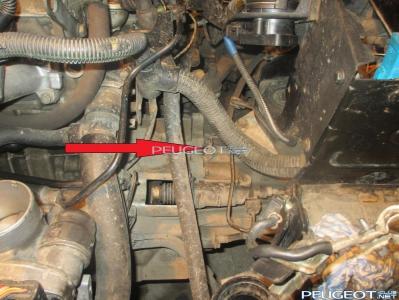 [Peugeot-Club.net] - IMG_0952.JPG