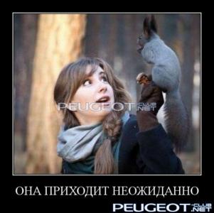 [Peugeot-Club.net] - 1333039828_demotivatory-foto_35993_s__12.jpg