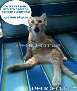 [Peugeot-Club.net] - 1354523698_foto-prikoly-6.jpg