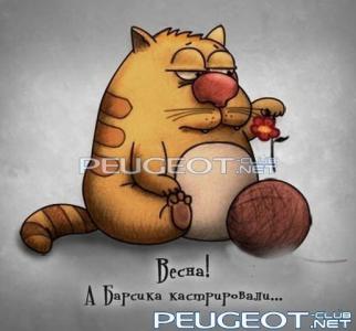 [Peugeot-Club.net] - 48cec5b83dd2f79a-large.jpg