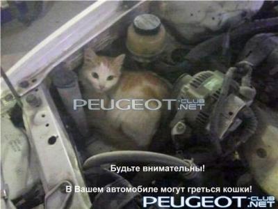 [Peugeot-Club.net] - WfvoN94o1UU.jpg