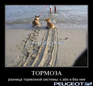 [Peugeot-Club.net] - image.jpeg