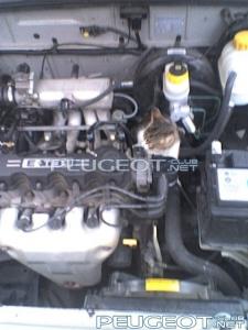 [Peugeot-Club.net] - 88cd56cff4403aaf-main.jpg