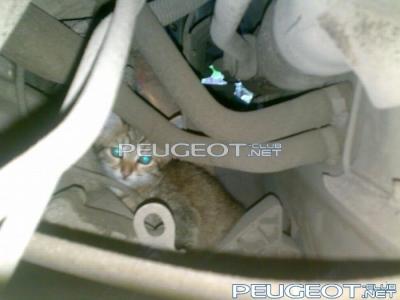 [Peugeot-Club.net] - 226eb36f62b2bc957ce6b0359cf46422.jpg