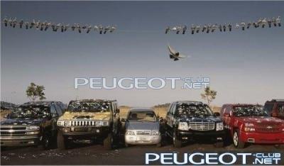 [Peugeot-Club.net] - img_23543872_11_0.jpg