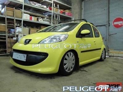 [Peugeot-Club.net] - pnevmopodveska_na_avtomobil.jpg