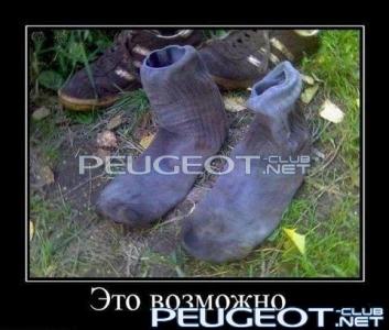 [Peugeot-Club.net] - караси.jpg