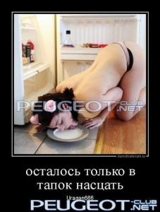 [Peugeot-Club.net] - киса.jpg