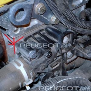 [Peugeot-Club.net] - zxcvb24.jpg