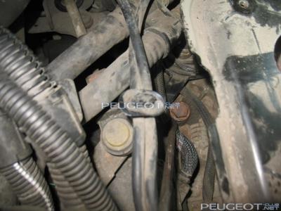 [Peugeot-Club.net] - IMG_3949.JPG