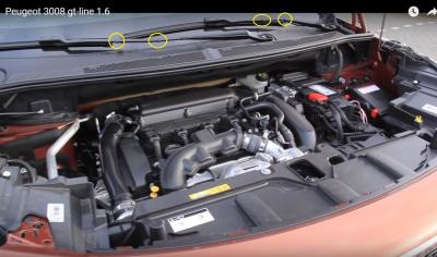 3008 поводки1.jpg