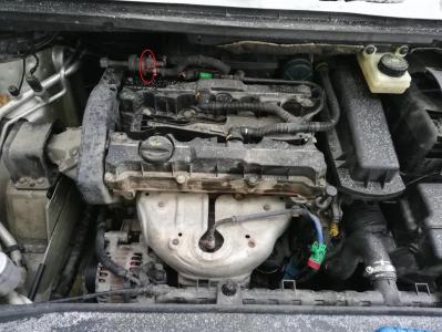 IMG_20181220_123217 - копия.jpg