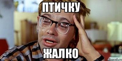 Птичку жалко.jpg