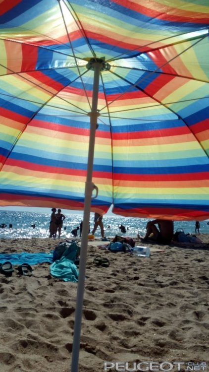 WhatsApp Image 2020-08-03 at 16.03.03.jpeg