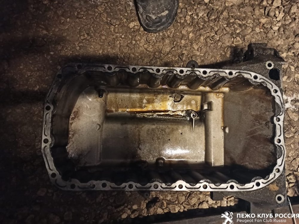 IMG-20210123-WA0002 (1).jpg