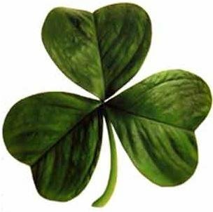 Irish_clover.jpg.73173de179e3c9d00f9bb9474efac777.jpg
