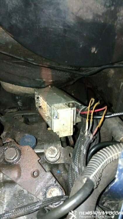 WhatsApp Image 2022-01-14 at 19.35.32.jpeg