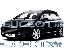 peugeot_307.jpg